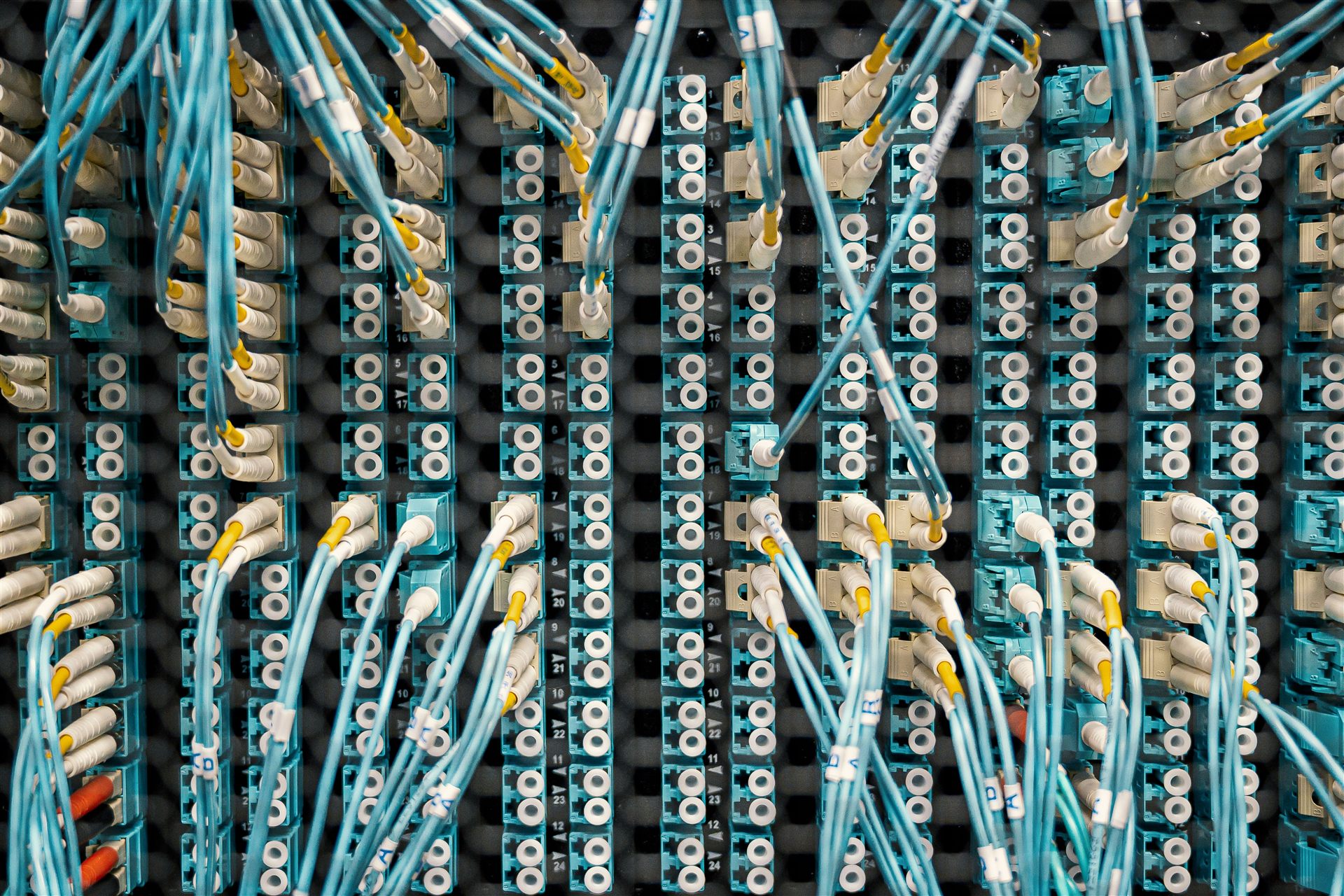 Fiber optic cabling terminated in a data rack